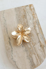 Not From Here Claw Clip Gold